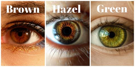 best hair color for hazel green eyes|More.